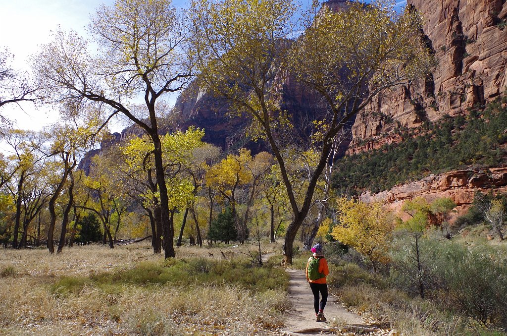 2018_1116_115827.JPG - Zion The Grotto