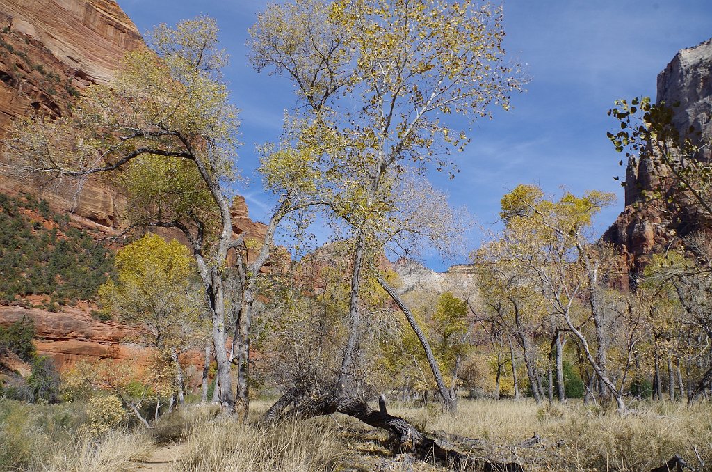 2018_1116_121957.JPG - Zion The Grotto