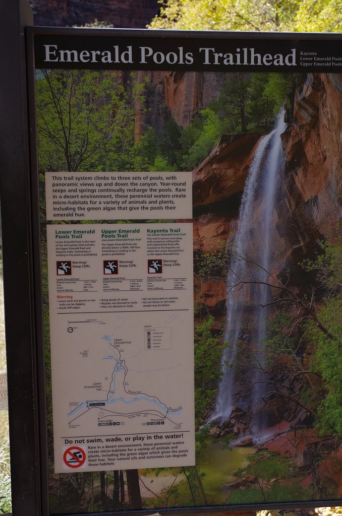 2018_1116_125134.JPG - Zion Lower Emerald Pool Trail