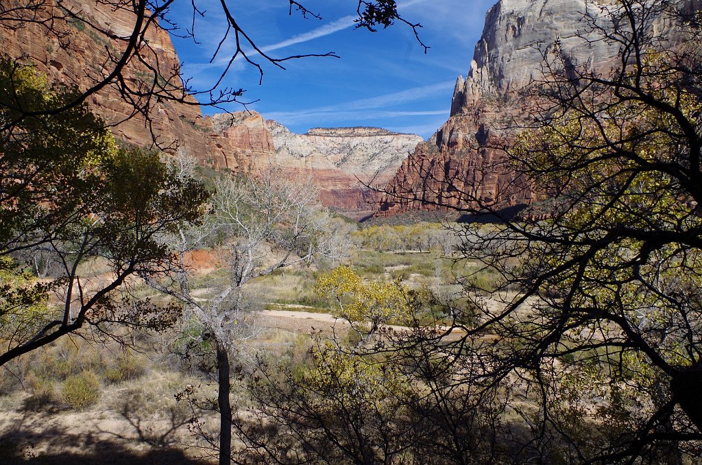 2018_1116_125901.JPG - Zion Lower Emerald Pool Trail