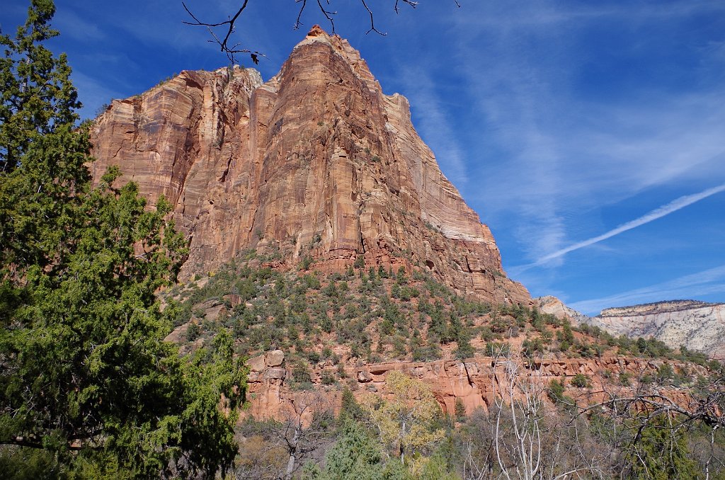 2018_1116_130117.JPG - Zion Lower Emerald Pool Trail