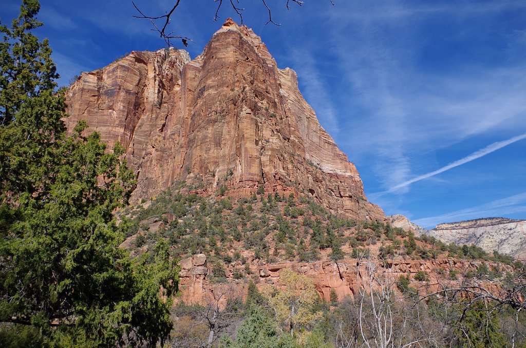 2018_1116_130117.JPG - Zion Lower Emerald Pool Trail