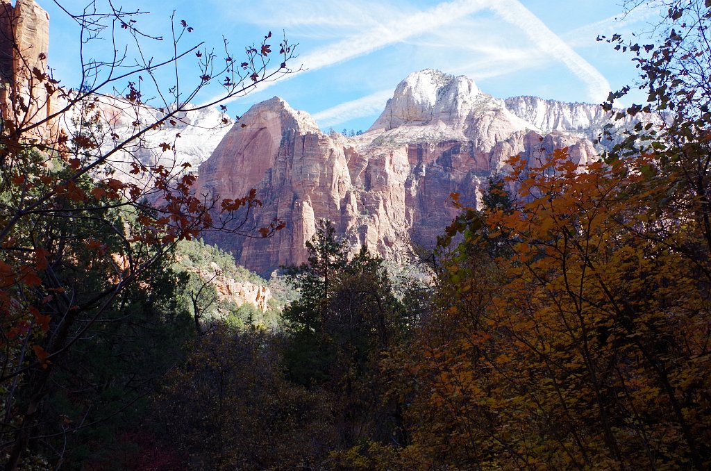 2018_1116_130840.JPG - Zion Lower Emerald Pool Trail