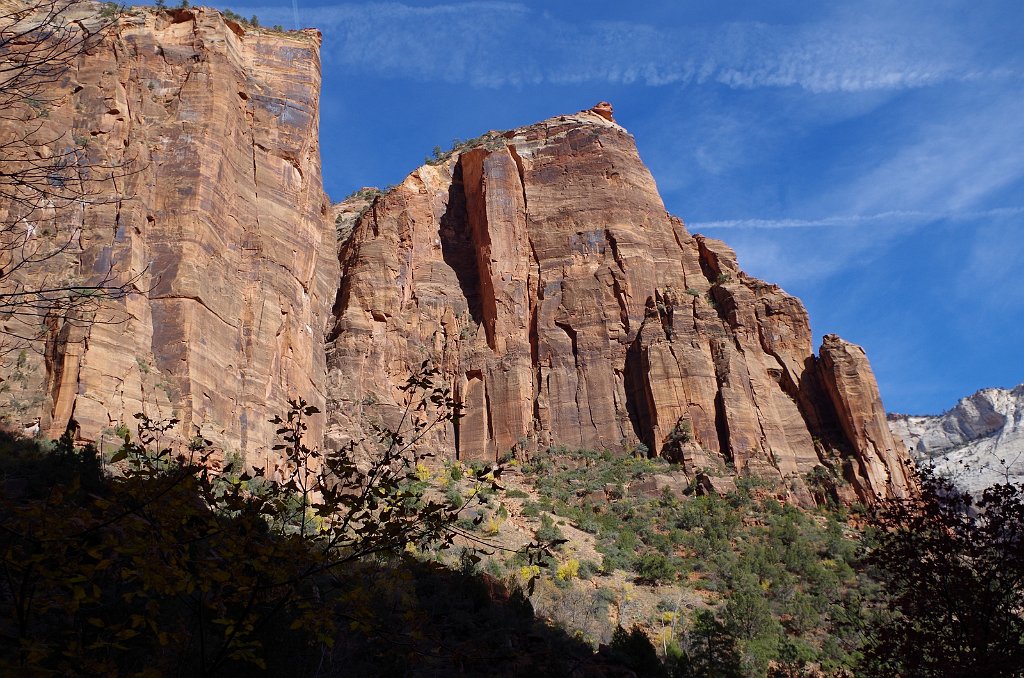 2018_1116_131055.JPG - Zion Lower Emerald Pool Trail