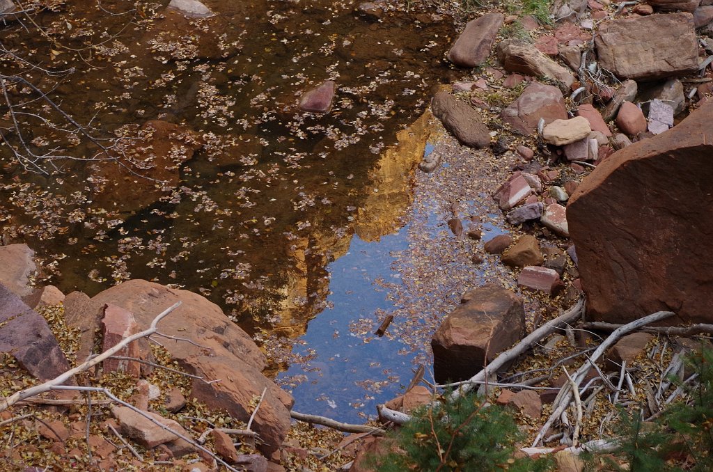 2018_1116_131121.JPG - Zion Lower Emerald Pool Trail