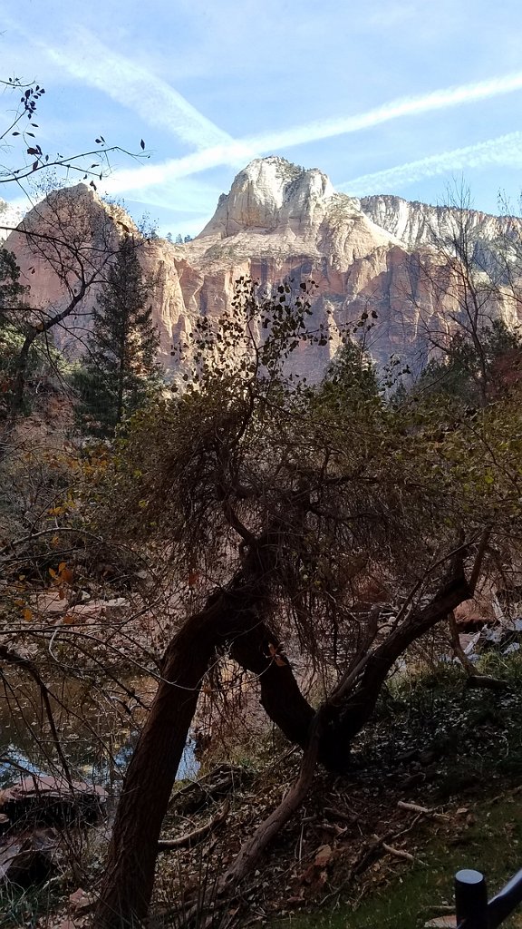 2018_1116_131522.jpg - Zion Lower Emerald Pool Trail