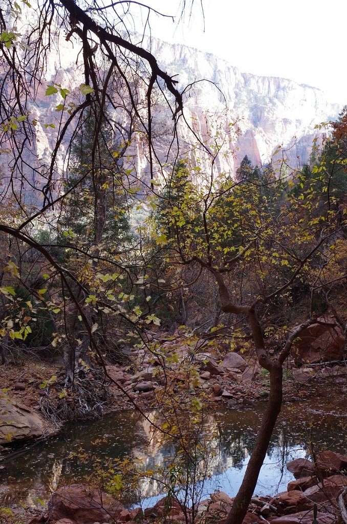 2018_1116_131613.JPG - Zion Lower Emerald Pool Trail