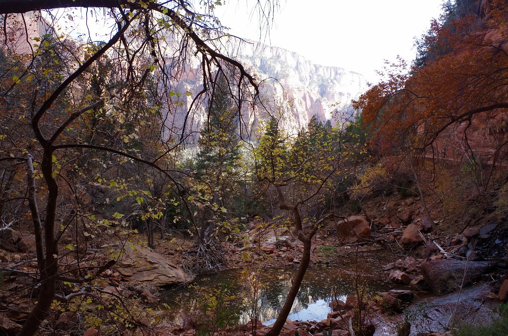 2018_1116_131630.JPG - Zion Lower Emerald Pool Trail