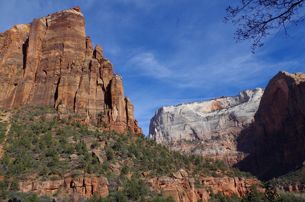 2018_1116_132257.JPG - Zion Lower Emerald Pool Trail