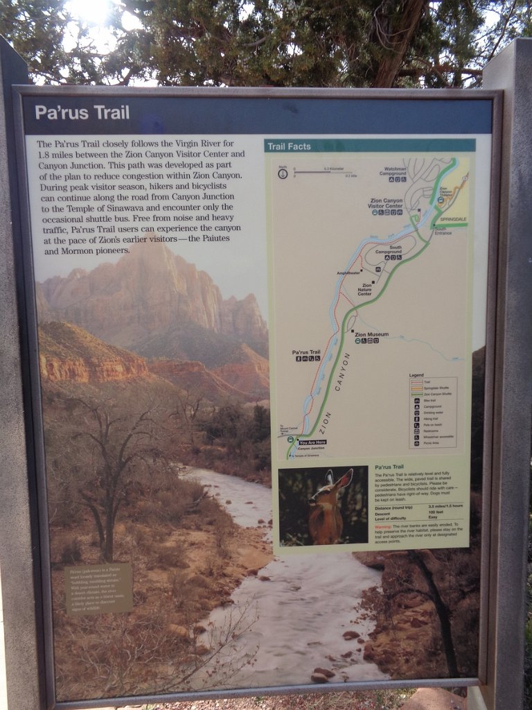 2018_1116_142323.JPG - Zion Pa’rus Trail