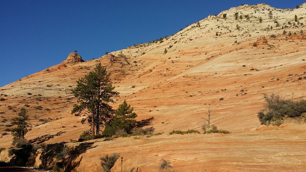 2018_1117_084926.jpg - Zion National Park hwy 9 to 89