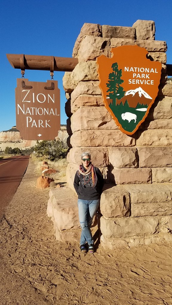 2018_1117_085944.jpg - Zion National Park hwy 9 to 89