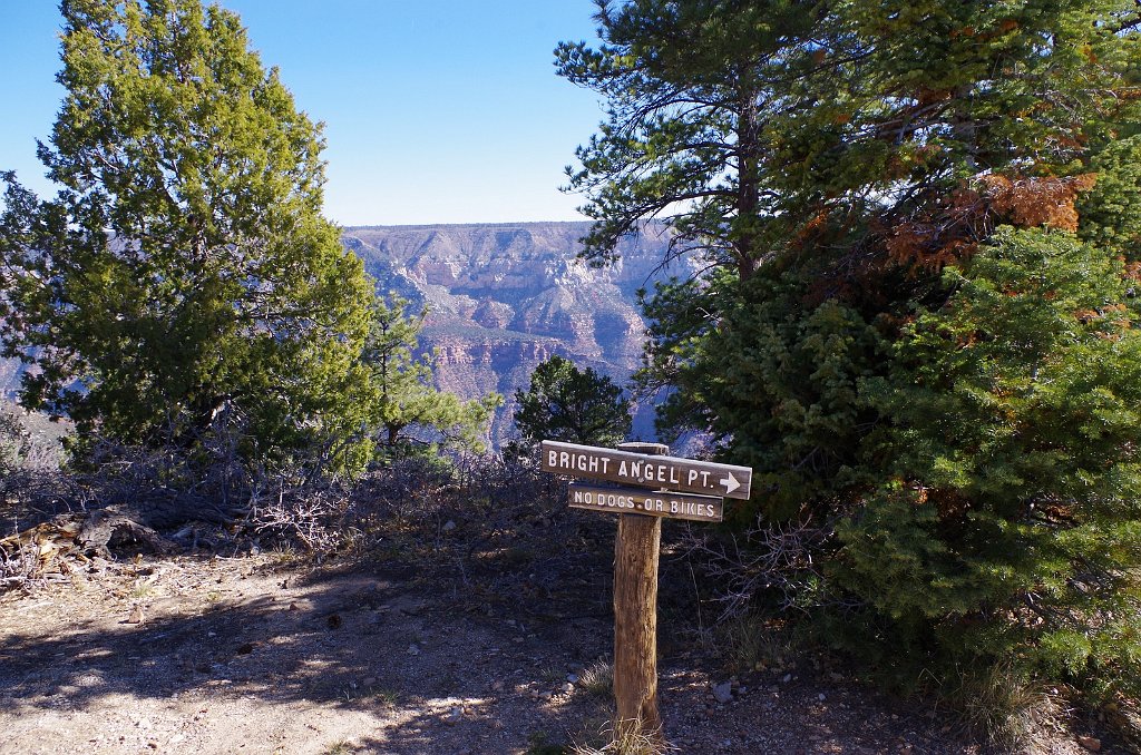 2018_1117_113501.JPG - Grand Canyon National Park North Rim Bright Angel Point Trail