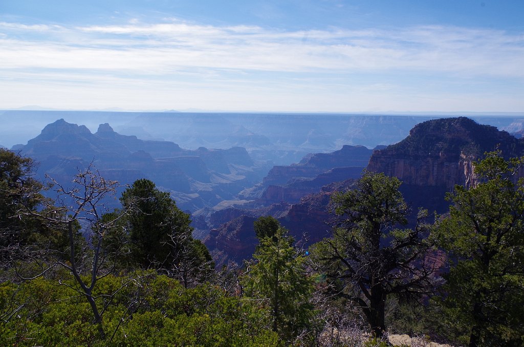 2018_1117_113614.JPG - Grand Canyon National Park North Rim Bright Angel Point Trail