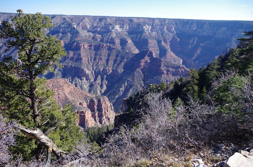 2018_1117_114015.JPG - Grand Canyon National Park North Rim Bright Angel Point Trail