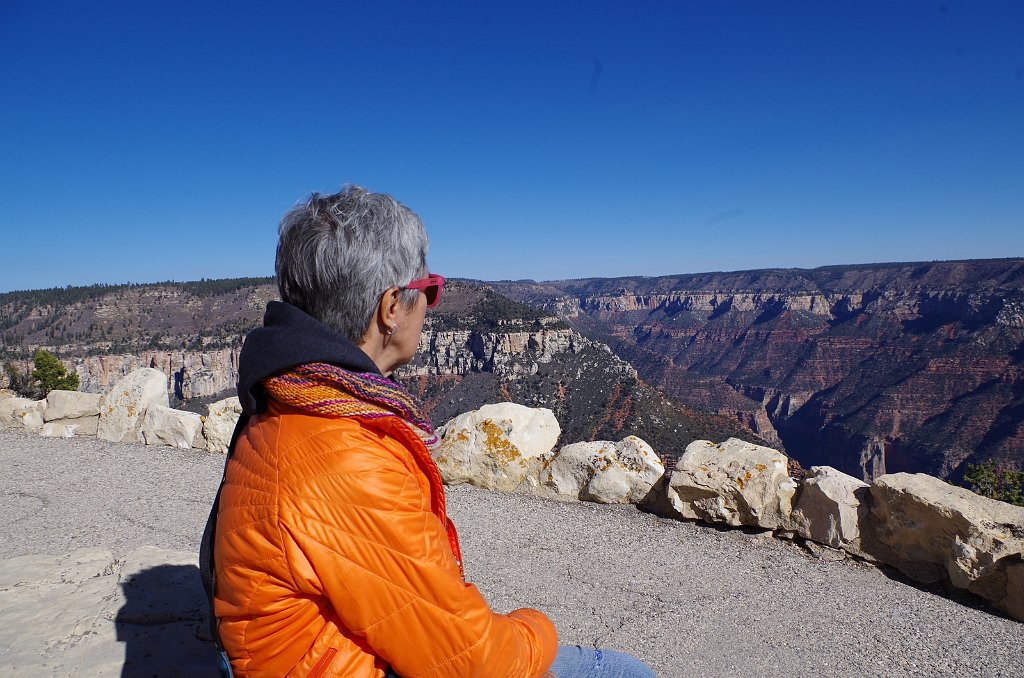 2018_1117_114928.JPG - Grand Canyon National Park North Rim Bright Angel Point Trail