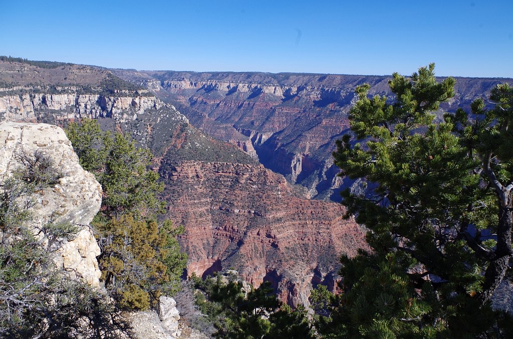 2018_1117_115026.JPG - Grand Canyon National Park North Rim Bright Angel Point Trail