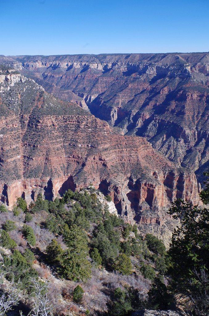 2018_1117_115240.JPG - Grand Canyon National Park North Rim Bright Angel Point Trail