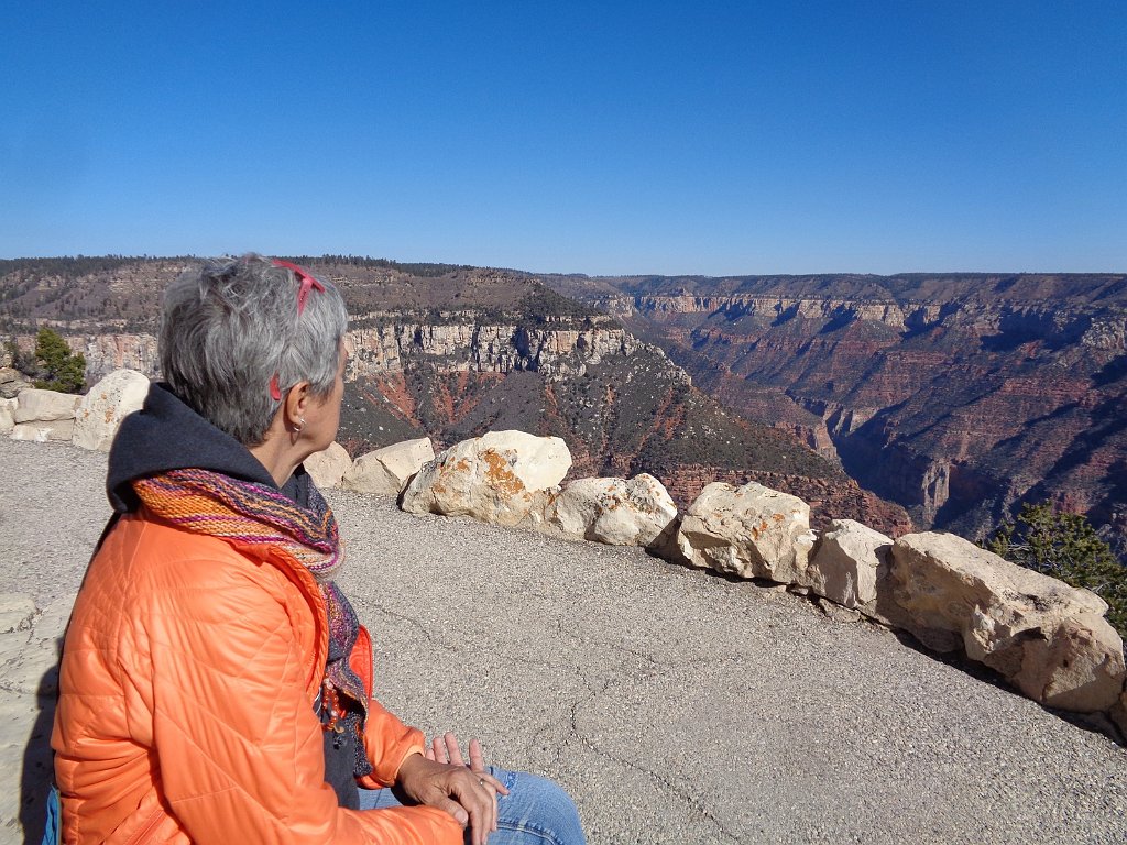 2018_1117_115609.JPG - Grand Canyon National Park North Rim Bright Angel Point Trail