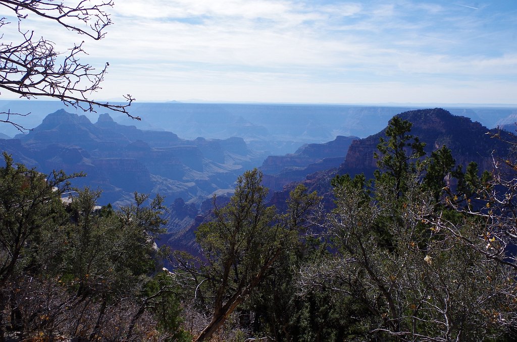 2018_1117_120450.JPG - Grand Canyon National Park North Rim Bright Angel Point Trail