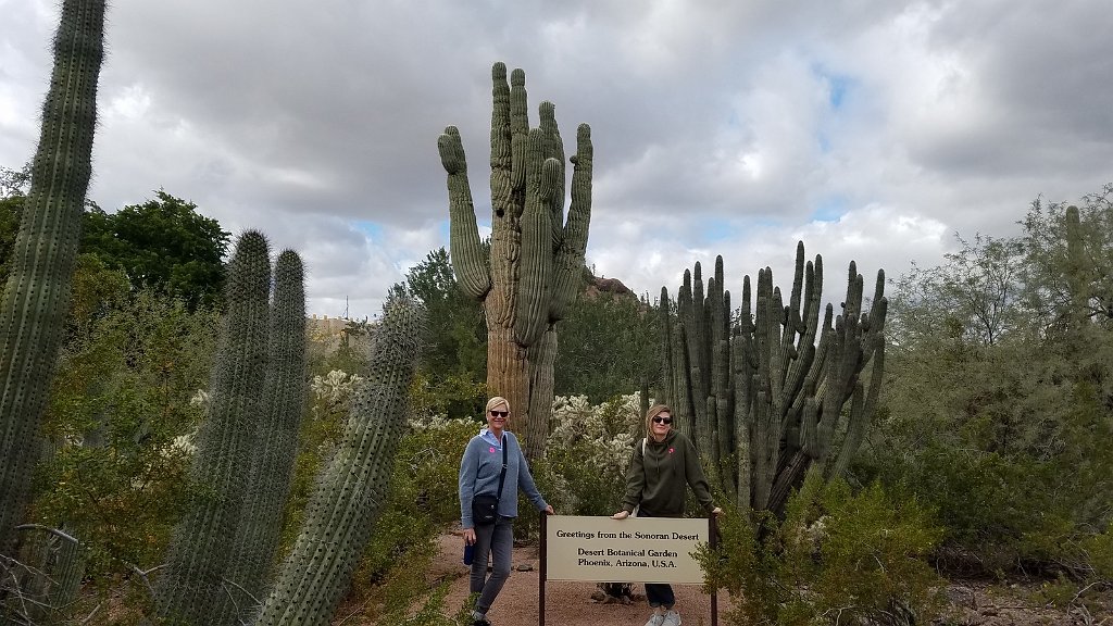 2018_1130_121941.jpg - Desert Botanical Garden