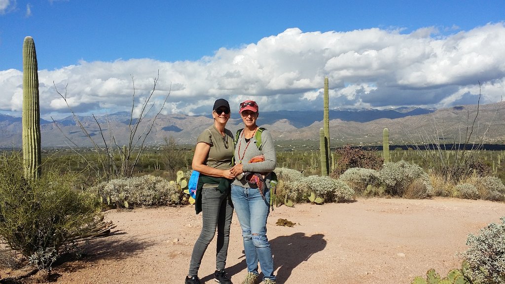 2018_1201_131239.jpg - Saguaro National Park (East)