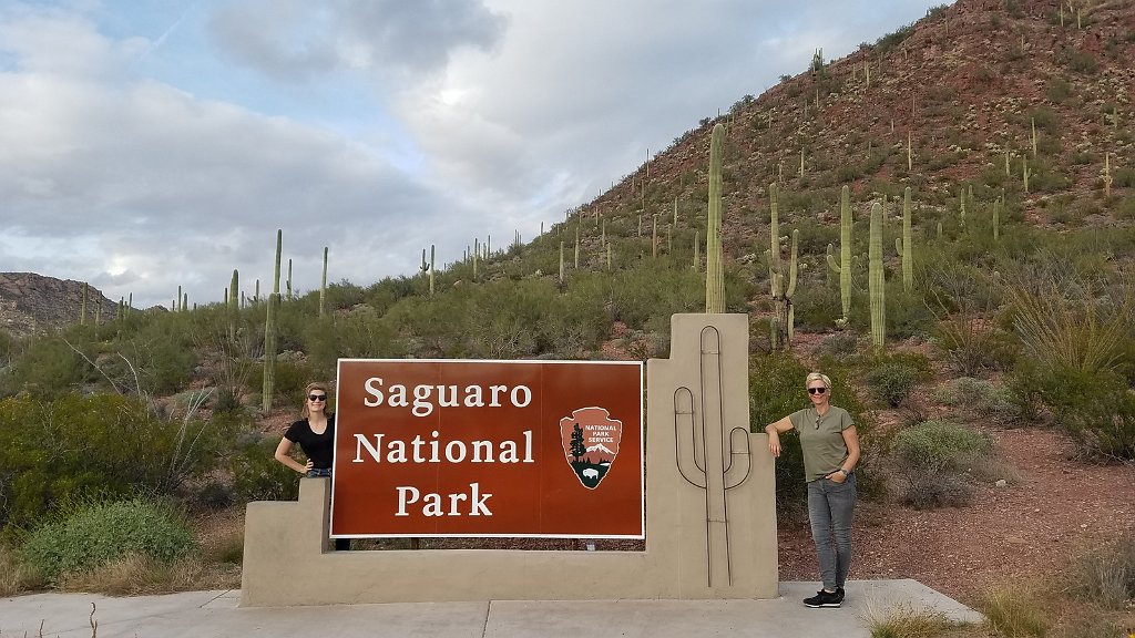 2018_1201_155746.jpg - Saguaro National Park (West)