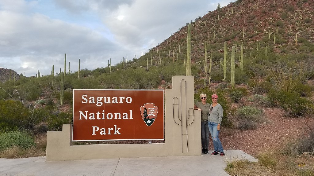 2018_1201_155804.jpg - Saguaro National Park (West)