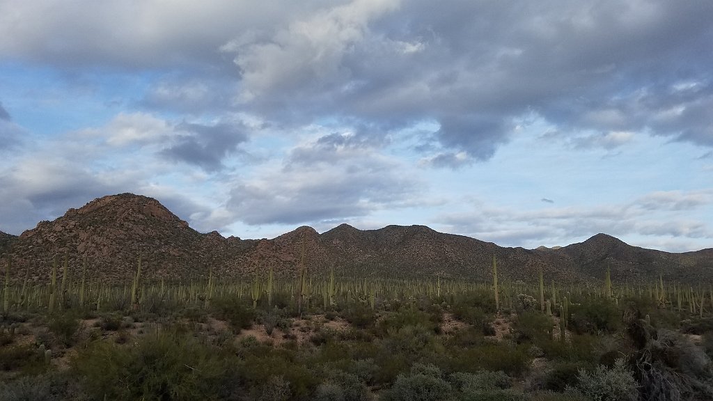 2018_1201_160440.jpg - Saguaro National Park (West)