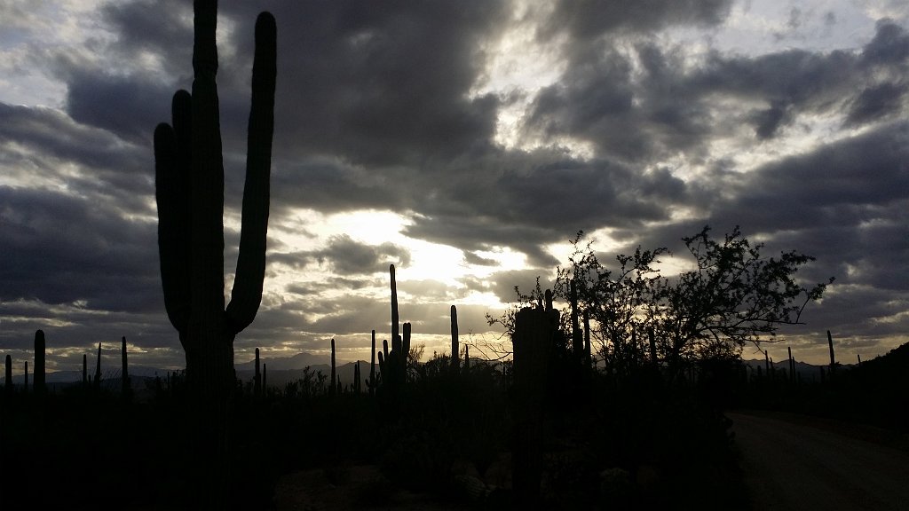 2018_1201_162519.jpg - Saguaro National Park (West)