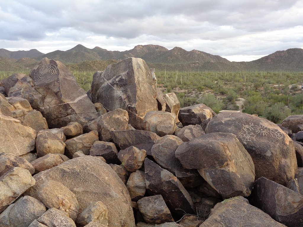 2018_1201_165352.JPG - Saguaro National Park (West)