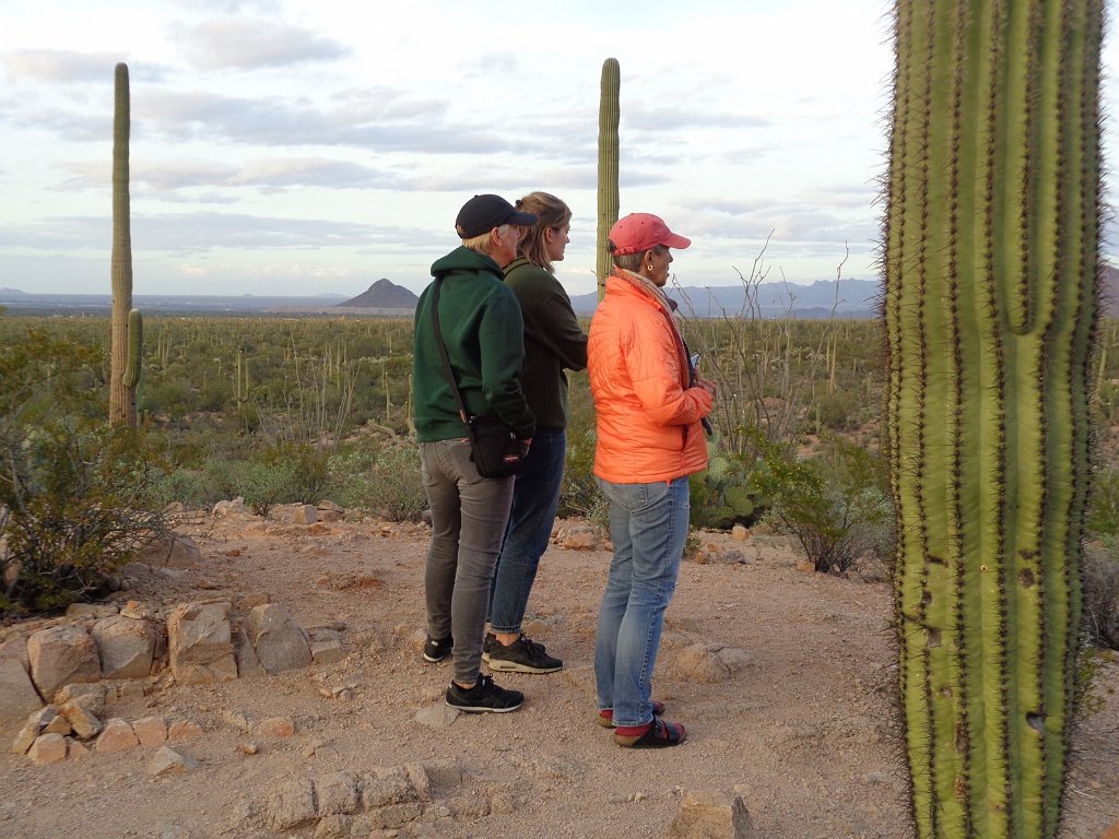 2018_1201_170607.JPG - Saguaro National Park (West)