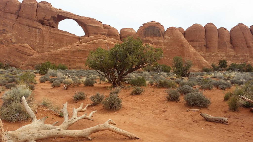 2018_0324_102247.jpg - Arches - Skyline Arch