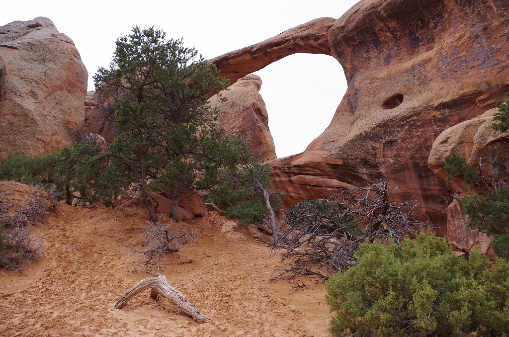 2018_0324_120209.JPG - Arches - Double O Arch