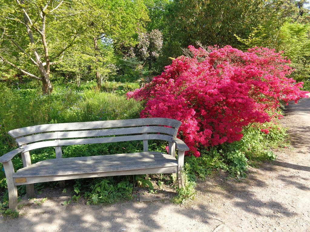 2018_0507_092821.JPG - Royal Horticultural Society Garden Wisley UK