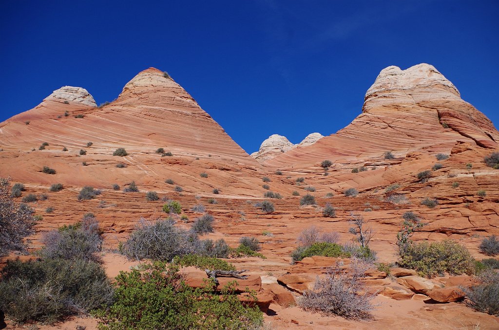 2018_1113_110842.JPG - Vermillion Cliffs National Monument at North Coyote Buttes