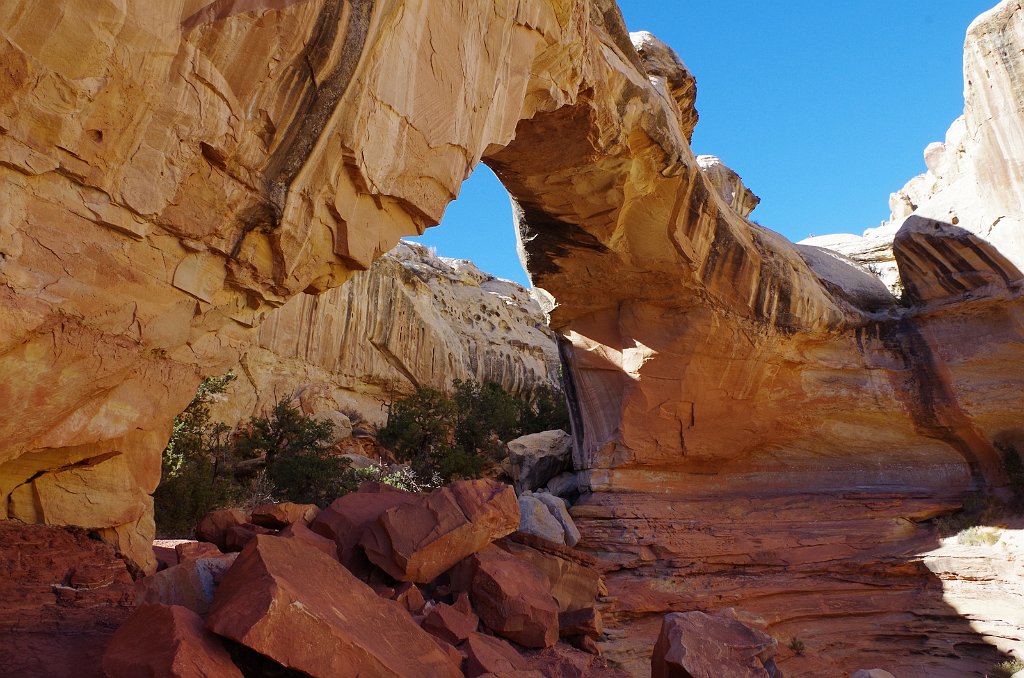 2018_1114_131708.JPG - Capitol Reef Hickman Bridge