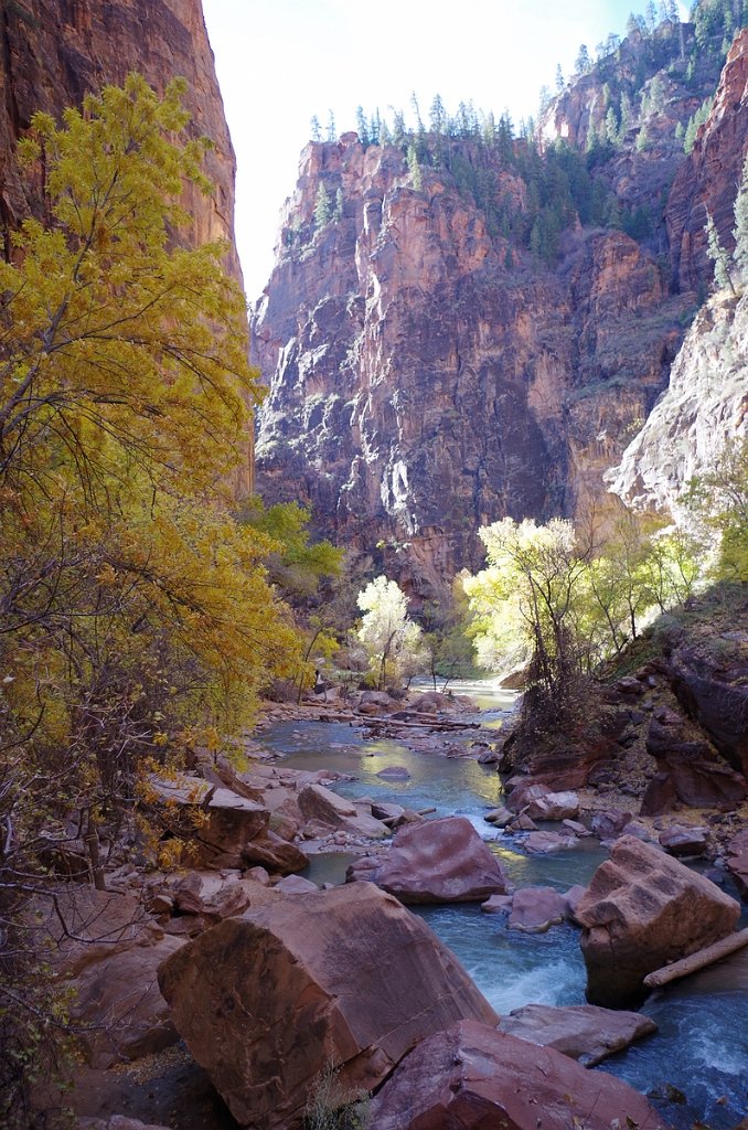 2018_1116_102403.JPG - Zion National Park Riverside Walk