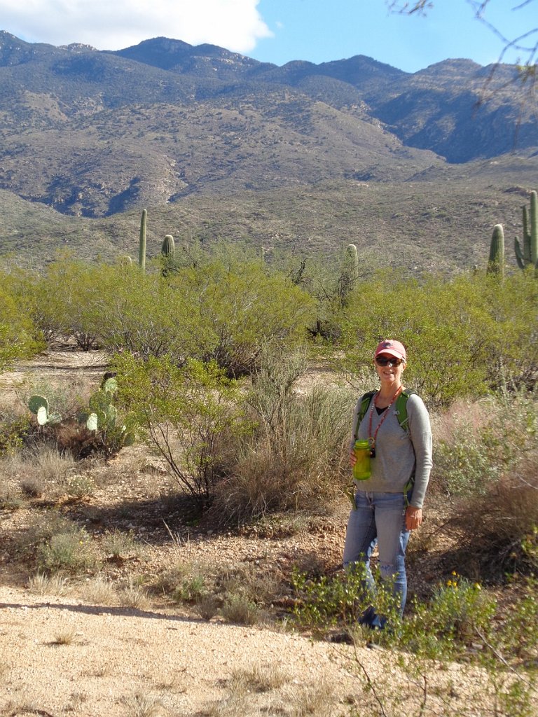 2018_1201_133923.JPG - Saguaro National Park (East)