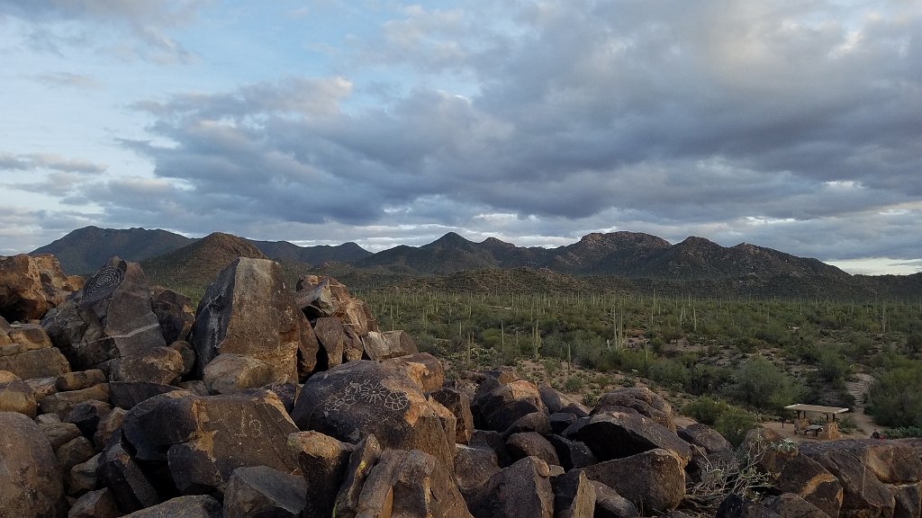 2018_1201_164837.jpg - Saguaro National Park (West)