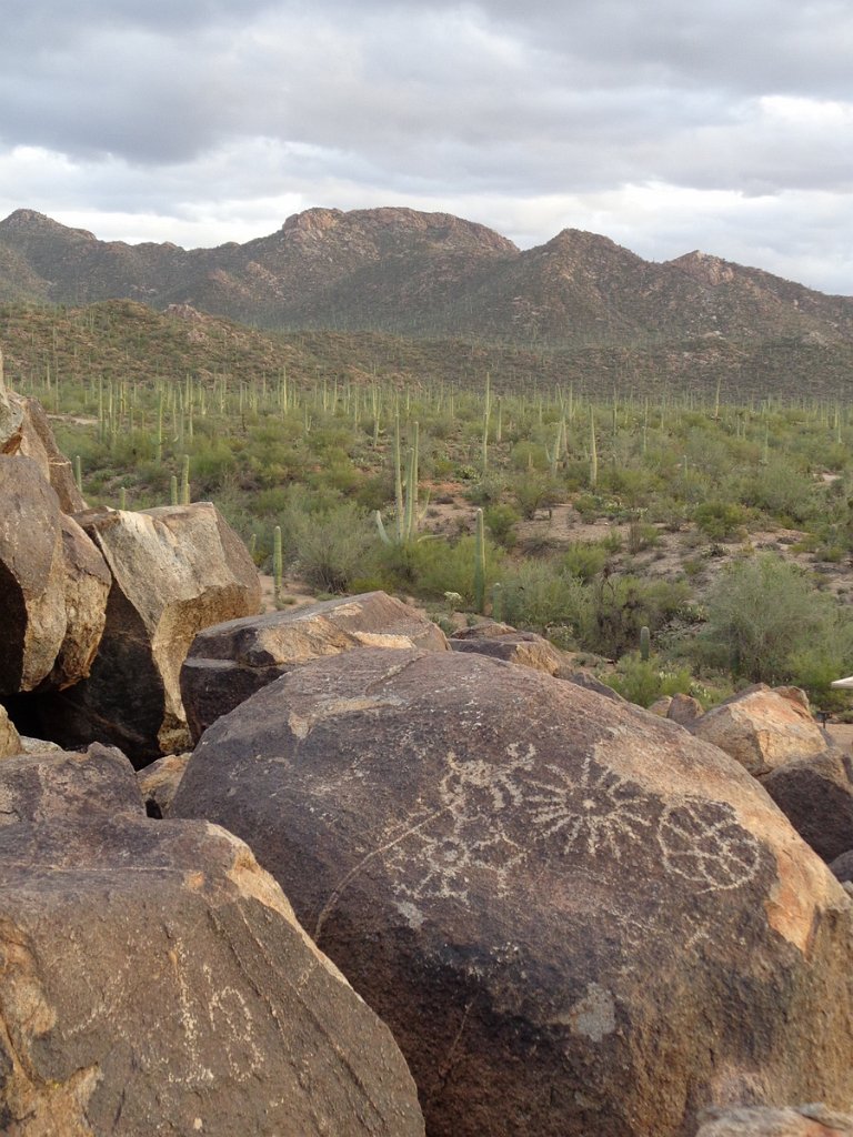 2018_1201_165504.JPG - Saguaro National Park (West)