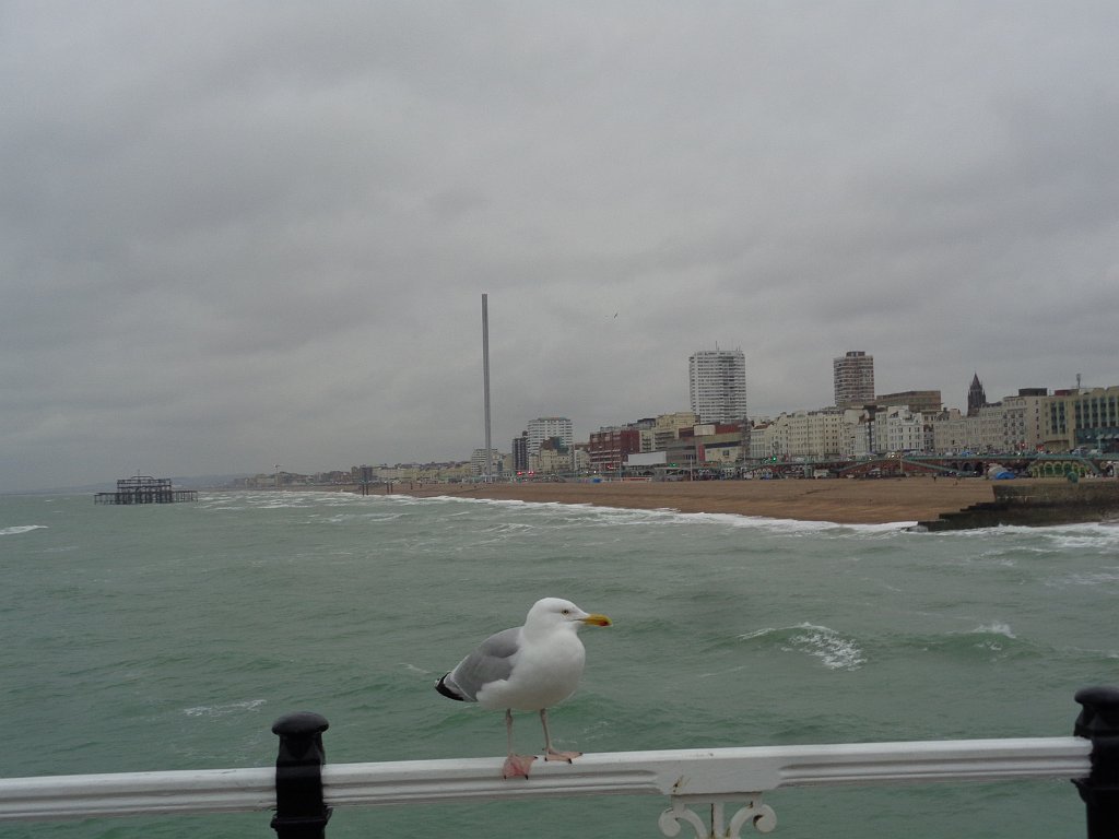 2019_0131_160102.JPG - Brighton Pier