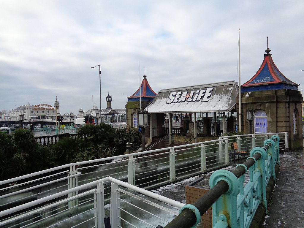 2019_0201_095259.JPG - Brighton Sealife