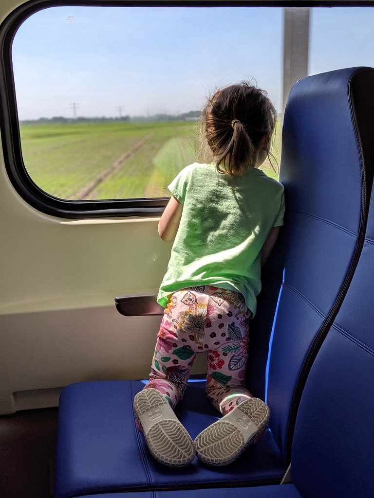 2019_0601_131044.jpg - Trein naar Alkmaar