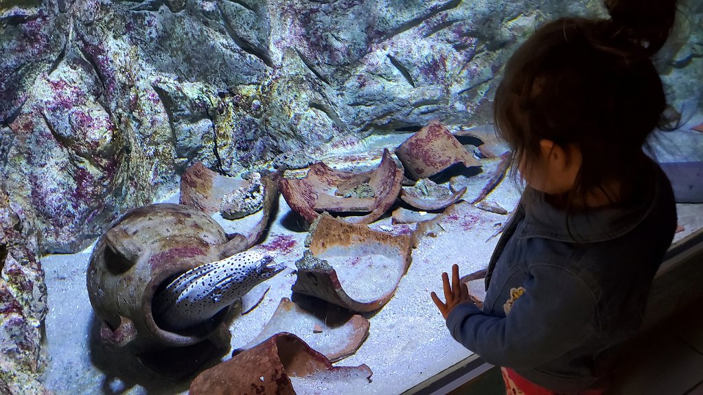 2019_0603_101702.jpg - Bergen aan Zee - zee aquarium