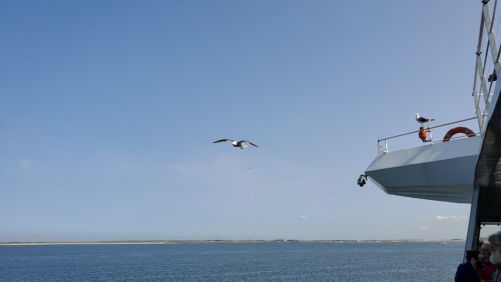 2019_0604_103754.jpg - Den Helder - boot naar Texel