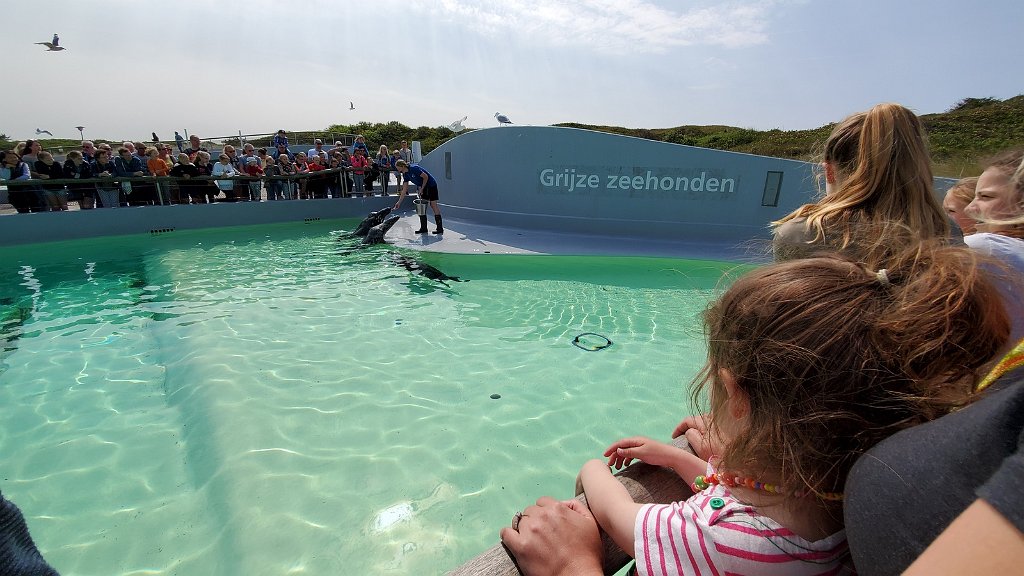 2019_0604_114316.jpg - Texel - De Koog - Ecomare