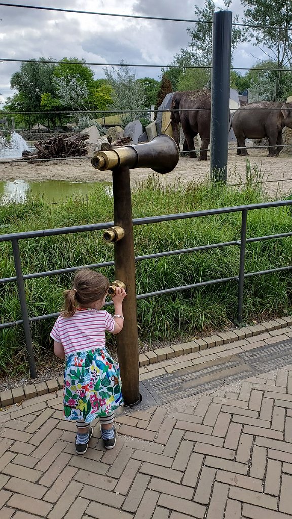 2019_0606_110738.jpg - Artis Amsterdam