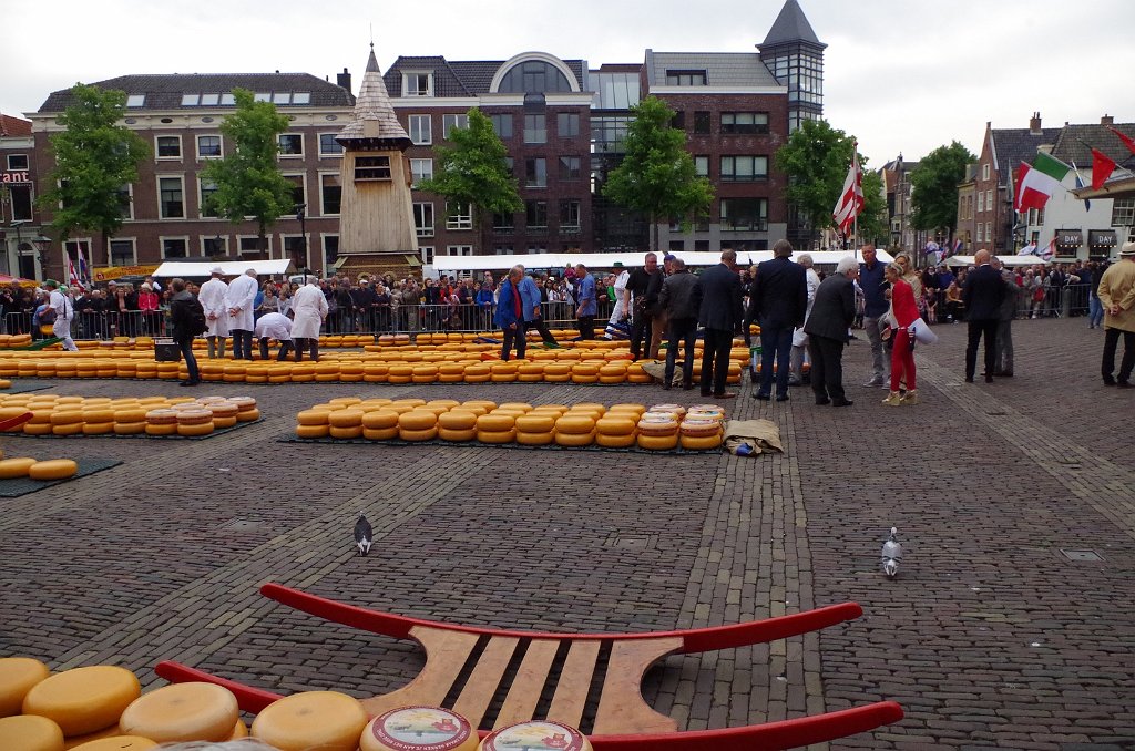 2019_0607_103215.JPG - Alkmaar - kaasmarkt