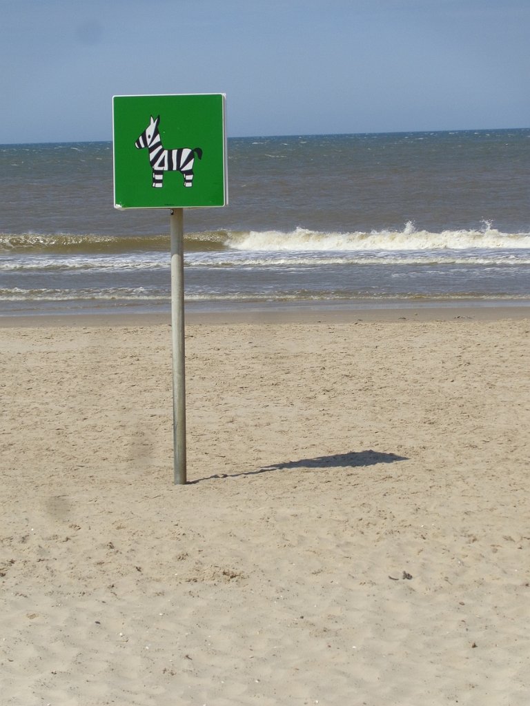 2019_0610_122144.JPG - Petten - Sint Maartenszee